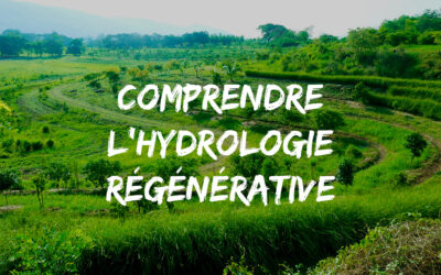 Hydrologie régénérative : régénérer les territoires en alliance avec le vivant