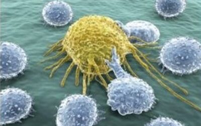 La cause du cancer enfin trouvée ! Mise en pratique